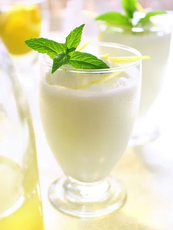 distribuidor sorbete limón | 2020 sur